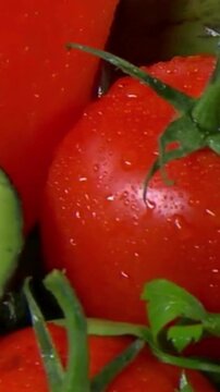 Fresh Avocado and Tomatoes with Water Droplets