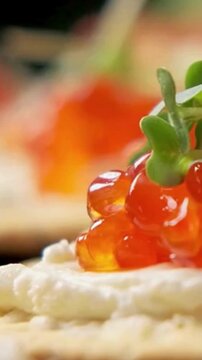 Gourmet Red Caviar Canape with Cream Cheese and Microgreens