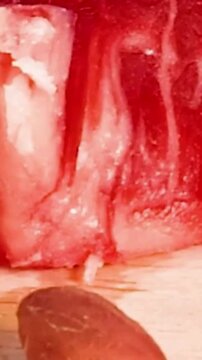 Fresh Raw Salmon Fillet Texture Macro Shot