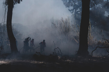 Obraz premium Firefighters Battling a Forest Wildfire Through Thick Smoke. Emergency Crew Fighting a Wildfire in the Forest. Firefighters Extinguishing a Forest Fire Amid Heavy Smoke.