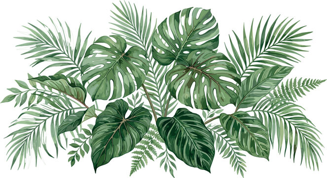 Tropical jungle leaves border arrangement with monstera and palm fronds watercolor style vector illustration isolated on white background for banner design.