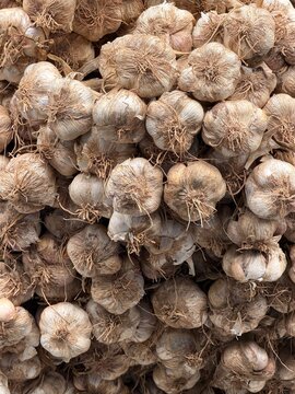 Fresh garlic bulbs as natural food background texture