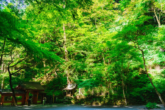  貴船神社 京都 夏 [Kyoto Kifune Shrine]