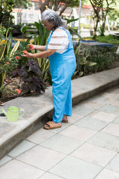 Senior woman gardening outdoors caring for flowers