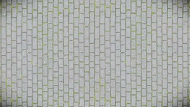 Rough grey paving stone pattern with green moss, creating a seamless loop.