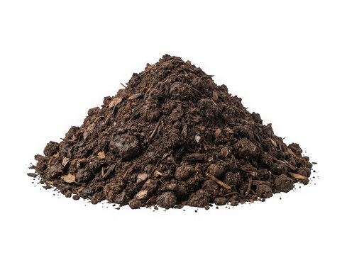 A small pile of fresh organic brown soil for gardening and planting