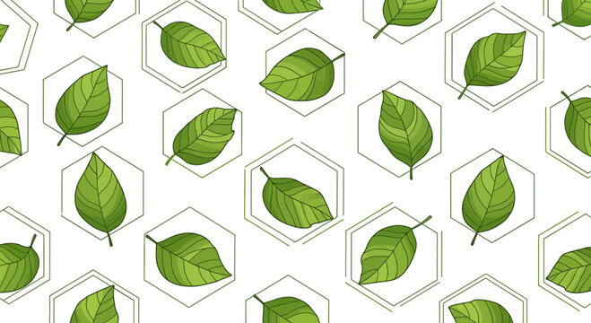 green leaves in hexagons, nature background