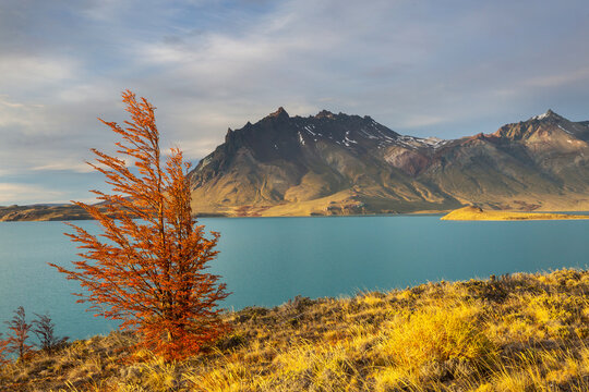Autumn in Patagonia