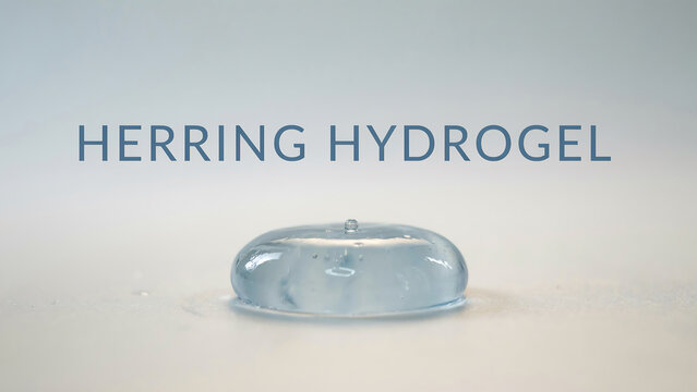 Clear hydrogel substance labeled Herring Hydrogel resting on flat reflective surface