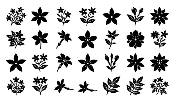 Night Jasmine Flower Silhouette Collection Vector Set with Elegant Botanical Blossoms