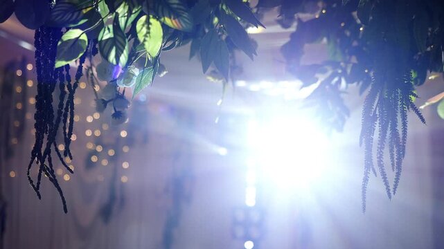 Decorative greenery and floral ceiling installation illuminated by stage lighting. Atmospheric event decor for weddings, receptions, gala dinners and luxury celebrations.