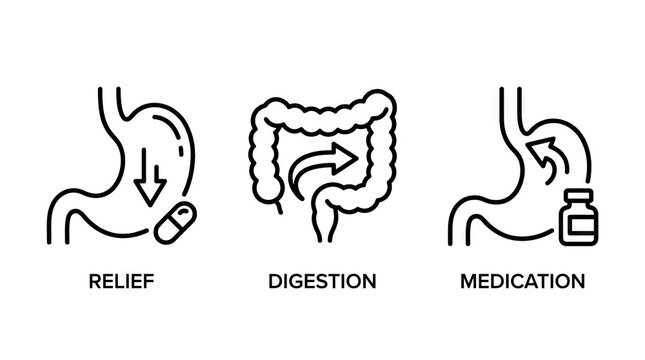 Digestive health and stomach medication icon set.