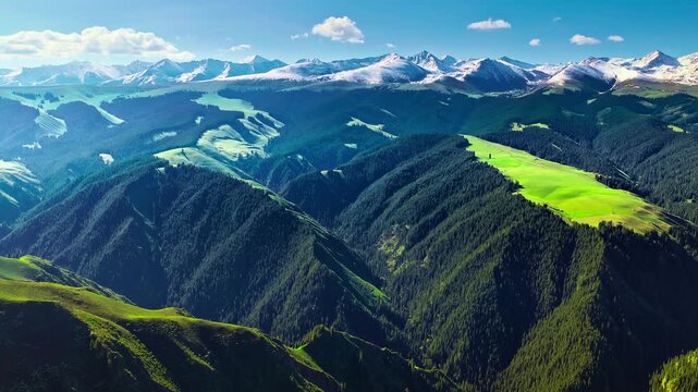 Scenic aerial landscape of green grassland hills and snow capped Tianshan mountains under blue sky in Xinjiang, China.