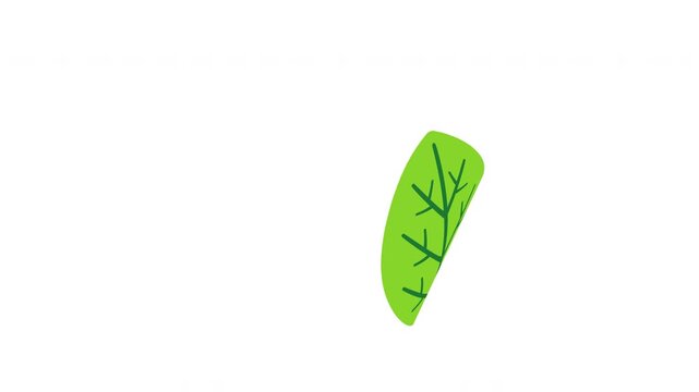 Bright lime green leaf slowly drifting downwards isolated on alpha Prores Alpha 4K 60 fps