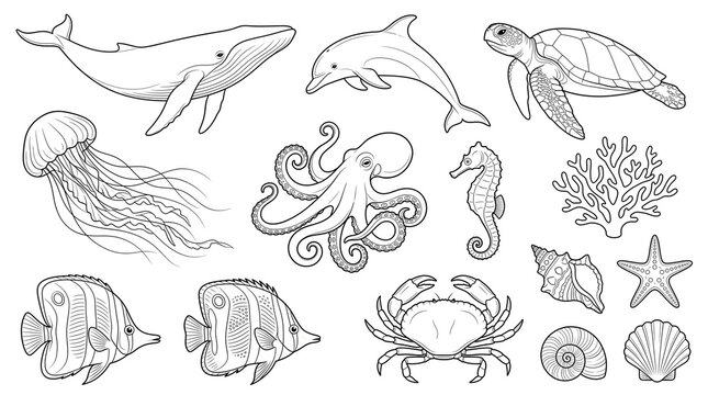 Ocean animals coloring page set, sea life line art collection with whale and dolphin, marine creatures outline illustrations for kids activity isolated PNG with Transparent Background