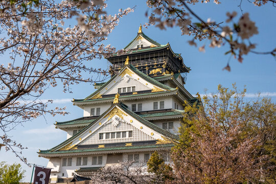 日本