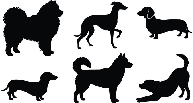 Diverse Black Dog Silhouette Collection Featuring Breeds Like Chow Chow Greyhound Dachshund and Husky in Various Poses for Animal Related Graphic Designs Vector