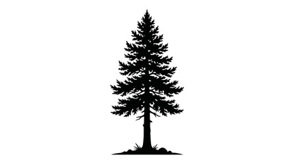 Evergreen tree silhouette with a visible trunk and subtle ground detail stands upright against a clean white backdrop, emphasizing its natural form. © MstRahela