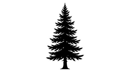 Coniferous tree silhouette stands tall and dark against a plain white background, presenting a simple yet striking botanical graphic. © MstRahela