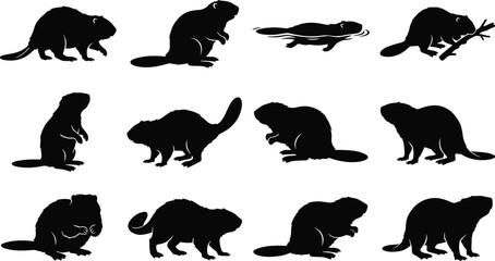 Fototapeta premium Beaver silhouettes set, wild aquatic rodent animal poses vector icons on white background