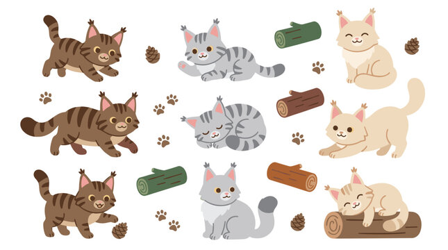 Set of cute maine coon cat illustrations in various poses with logs and footprints, flat vector elements for animal themed design projects