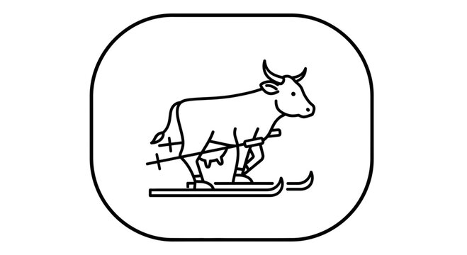 cow on skis, winter fun, bull skiing