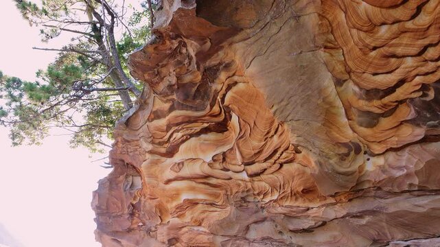 芸術的な縞模様を描く砂岩の地層と崖を見上げるあおりカット
