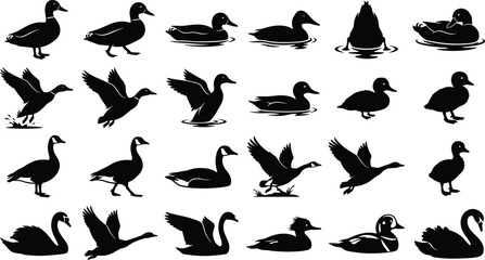 PrintWaterfowl Bird Silhouette Bundle Featuring Ducks Geese and Swans Vector CollectionWaterfowl Bird Silhouette Bundle Featuring Ducks Geese and Swans Vector Collection © MostMeskatun