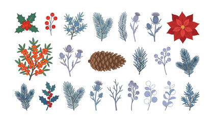 Winter botanical flora vector set pine cone spruce branch poinsettia flower holly berry illustration element © MdEajdani