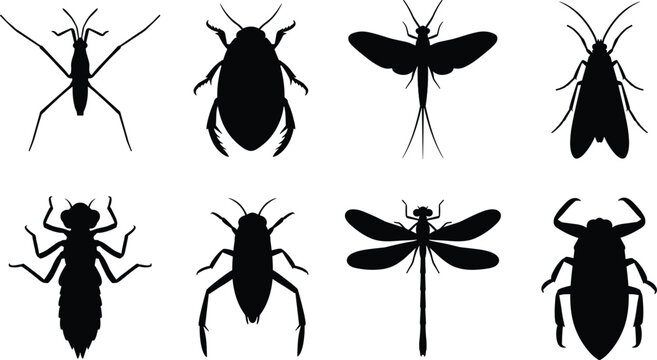 Insect Silhouette Collection with Dragonfly Beetle Moth Mosquito Cockroach and Flying Bug Vector Set