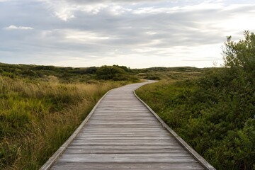 Obraz premium Empty wooden boardwalk through a coastal nature reserve, wild grasses, soft cloudy sky, no humans, no brands, no text, p-61.png