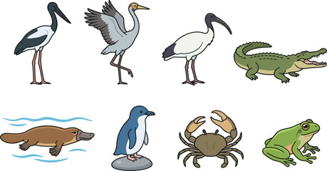 Australian Wetland and Coastal Wildlife Collection Featuring Crane Stork Ibis Crocodile Platypus Penguin Crab and Frog Cartoon Characters Vector Graphic Illustration