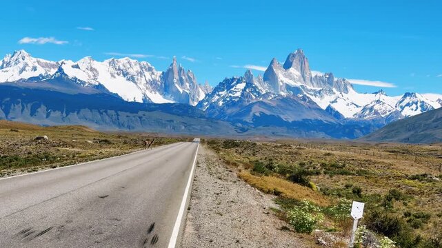 Guanaco crossing