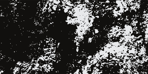 Fototapeta premium High Contrast Black and White Abstract Grunge Texture Background with Distressed Organic Pattern