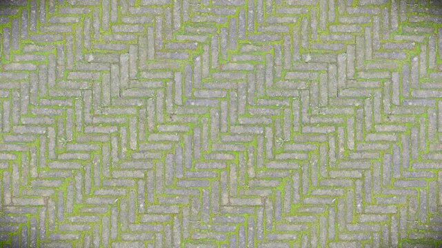 Herringbone grey paving stones with green moss, a natural seamless loop.