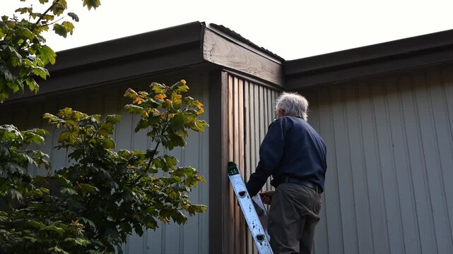 Elderly climbing on an extension ladder to inspect wood siding boards, homeowner maintenance and upkeep, making outdoor repairs on house
