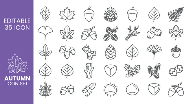 Autumn Leaf Icon Set with 35 Editable Line Icons for Nature and Fall Graphic Design
