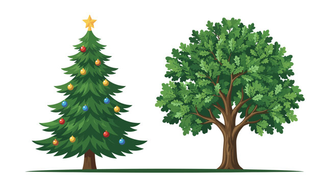 Christmas tree and oak tree.