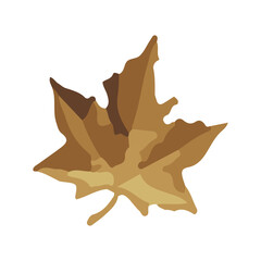 Naklejka premium Autumn Maple Leaf Illustration