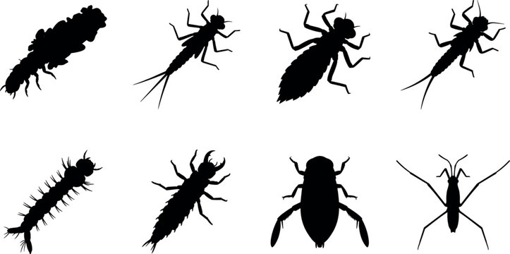 Silhouettes of aquatic insect nymphs and larvae for ecology, science, and creative design projects
