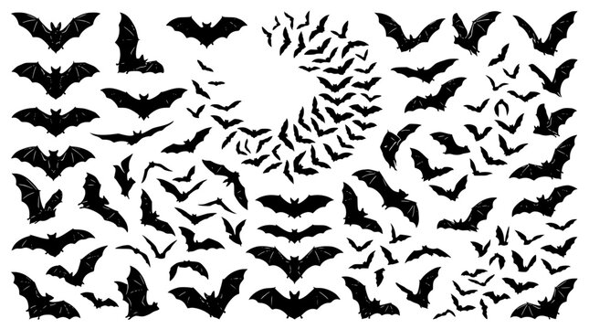 Collection of spooky bat silhouettes showing flying flocks crescent moon shapes and vampire wings for creepy seasonal design