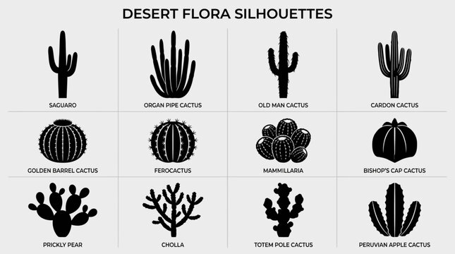 Minimalist silhouettes of diverse desert cactus species arranged in grid format, showcasing unique shapes and botanical diversity in striking contrast
