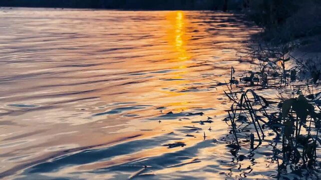 Sunset River Water Golden Reflection Calm Waves On Natural Shore,video