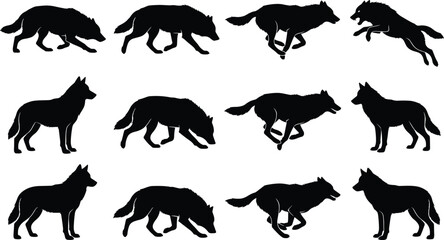 Obraz premium Wolf Silhouettes Depicting Standing, Walking, Running, Crouching, and Leaping in Natural Motion