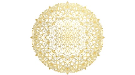 Fototapeta premium Elegant Golden Sacred Geometry Flower of Life Mandala Vector