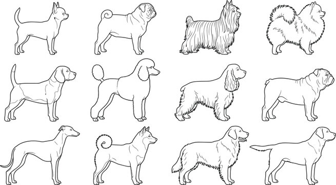 Dog Breeds Line Art Collection Showing Various Canine Types in Detailed Outline Style