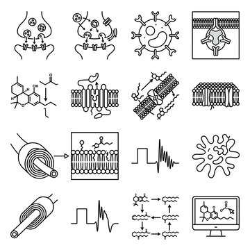 Set of neuroscience and molecular biology icons representing synapses neurons and cellular processes for medical and scientific illustration