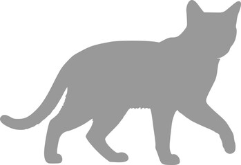 cat silhouette © silhouettegallery
