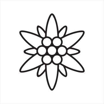 Stylized outline drawing of an edelweiss flower.