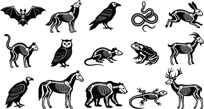 Silhouette vector set of spooky animal skeletons and wildlife bones